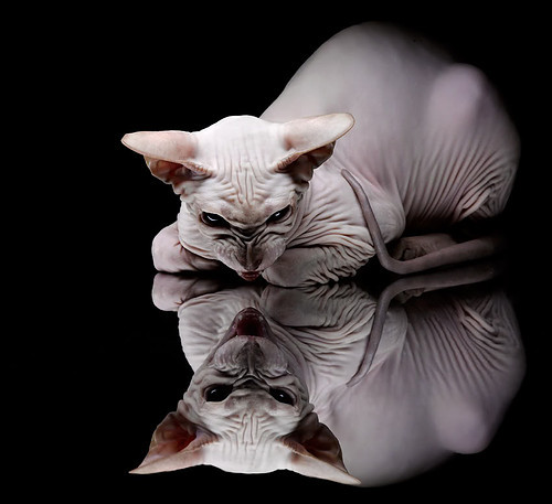 今年NBA转会市场最大的“黑马”交易盘点，nba转会2020年汇总