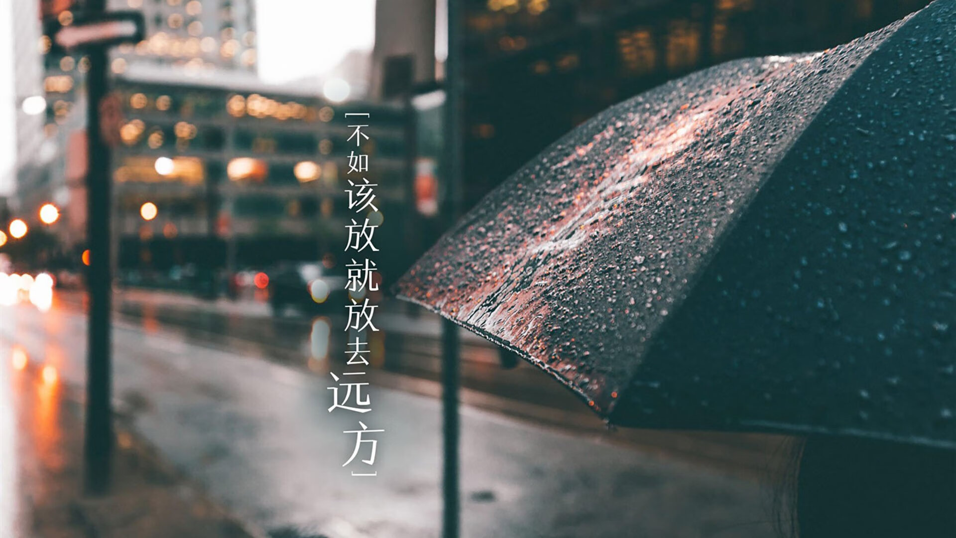 “青少年足球训练营开营,梦想从这里起跑”,青少年足球训练营文化节手抄报