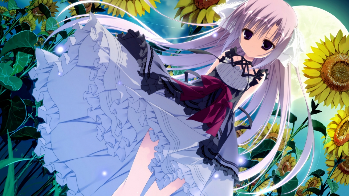 【新一代观众体验】虚拟互动、360度全景带你走进赛场！，vr全景表演